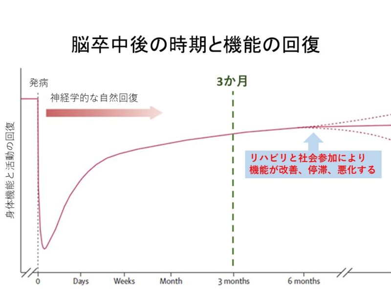 脳卒中後の期間と機能回復