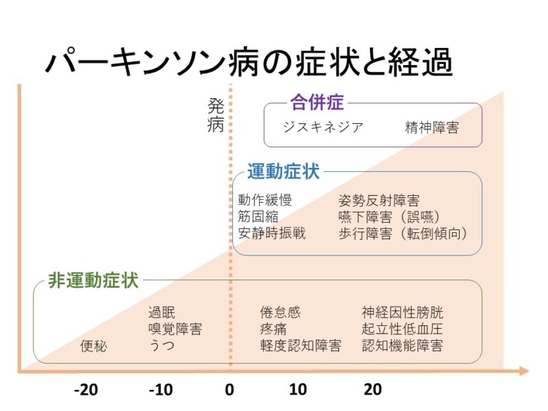 パーキンソン病の運動症状・非運動症状を解説 | Rehabilitation Plus